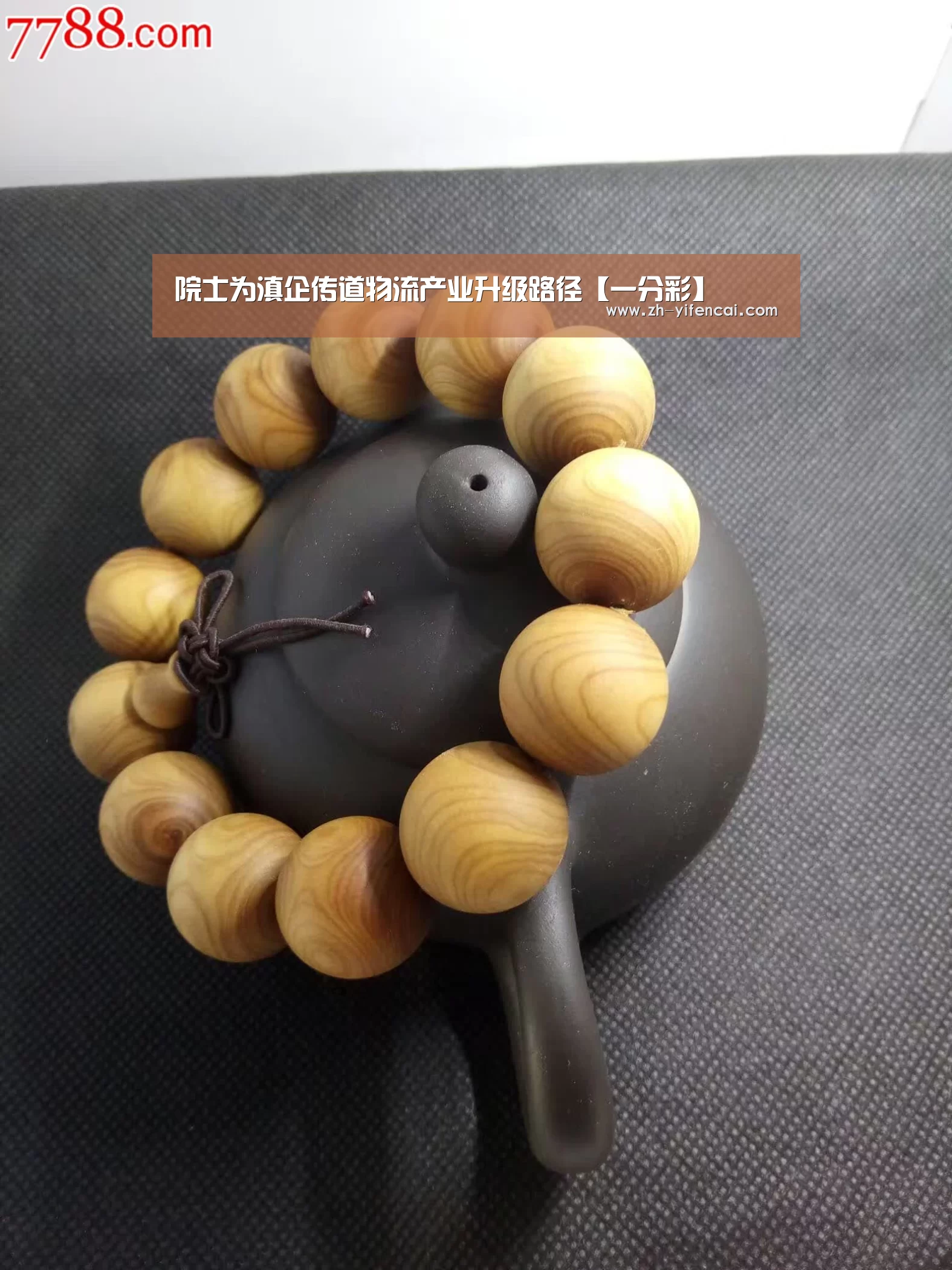 院士为滇企传道物流产业升级路径【一分彩】(图1) 一分彩