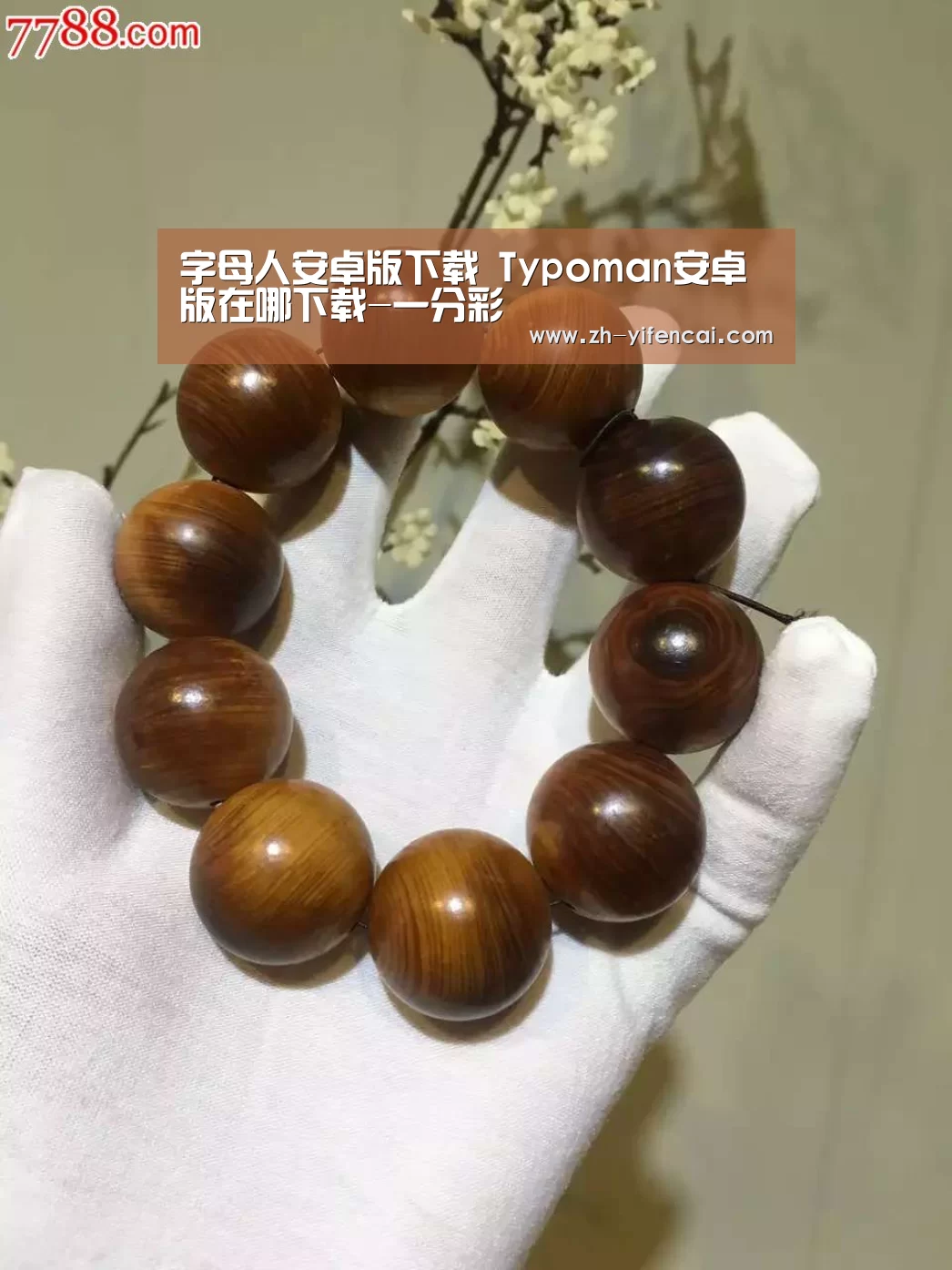字母人安卓版下载 Typoman安卓版在哪下载-一分彩(图4) 一分彩