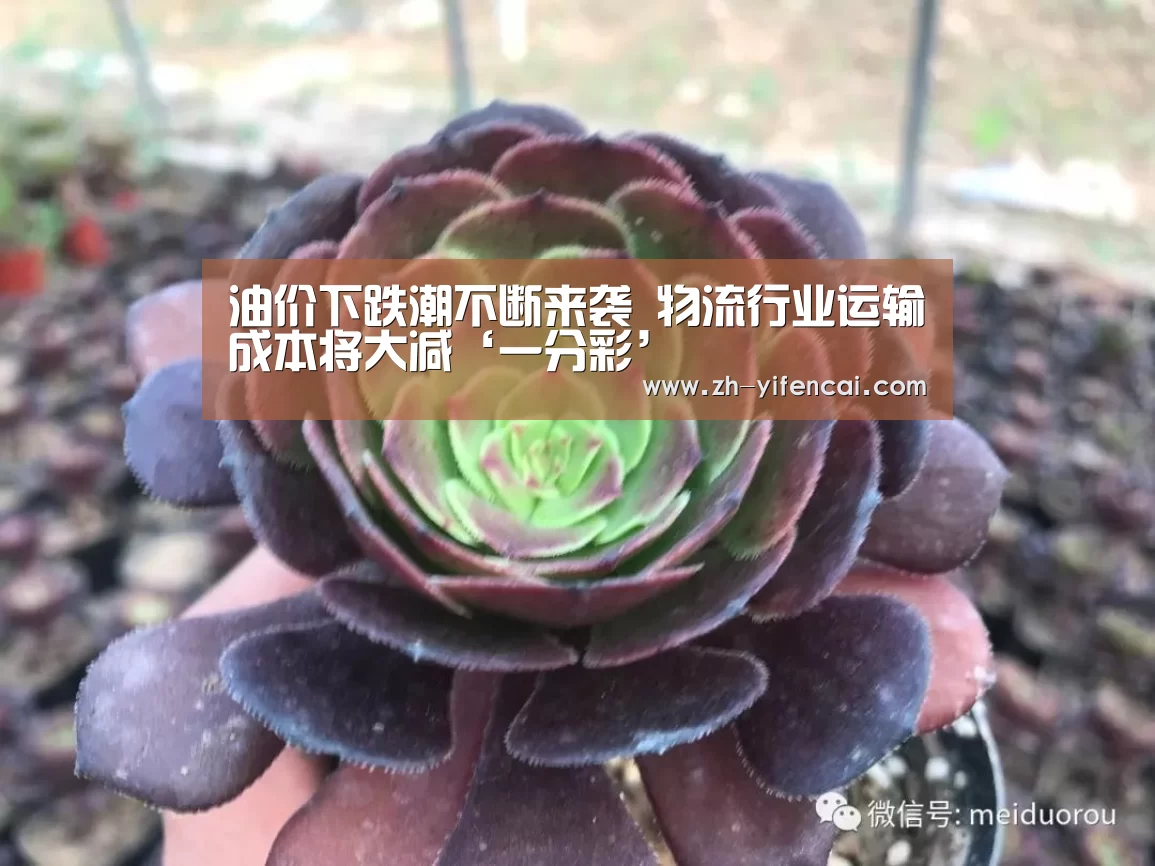 油价下跌潮不断来袭 物流行业运输成本将大减‘一分彩’(图1) 一分彩