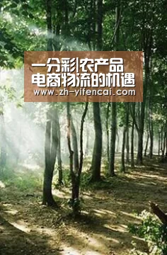 一分彩|农产品电商物流的机遇与挑战(图2) 一分彩